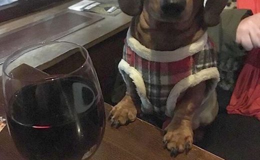 “At the Granary, Glasgow for a wee drop of something” – pic @dougalcochrane⠀