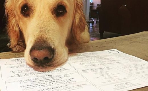 Deciding what to order in @gro_coffee, Irvine – pic @goldenbrothers15⠀