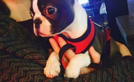 Here’s wee Betty in BrewDog York – pic @brewdogyork⠀