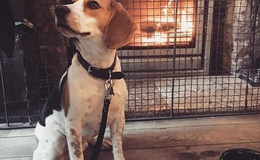 Getting cosy in The Compass, Leith – pic @gem.lou_⠀