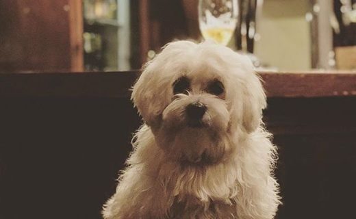 Aye, he loves a pint at his local (The Wally Dug) – pic @_lorddavidson⠀