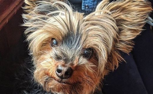 Mowgli at the Stockbridge Tap – pic @calliebelle⠀