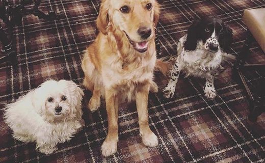 Perri with his girlfriends Maya and Blizzard for the pub quiz at The Wally Dug – pic @_lorddavidson