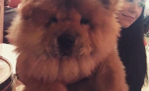 @beercafe: “@brucethescottishchow popped in tonight for a few pints of Kriek after his big walk 🐾 “