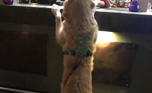 Everyone has to get their round in (The Basement, Edinburgh) – pic from Mary Moultrie