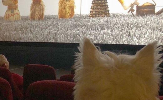Here’s Gordon watching the Isle of Dogs at the Cameo cinema in Edinburgh today – pic @FiascoMac