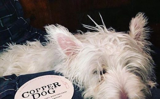 @life_of_lochy: “About last night….🥃 @copperdogpub “