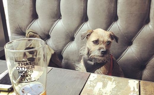 Here’s Wee Ruby in BrewDog Merchant City – pic elizabethroutledge