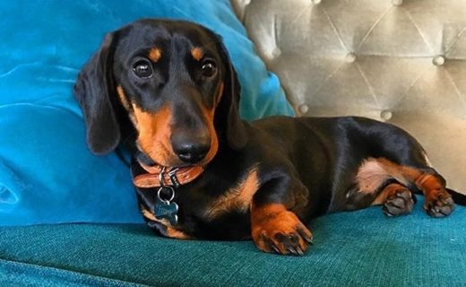 “@square.sausage: Bring me a martini 🍸 Settling in @jpsedinburgh “⠀