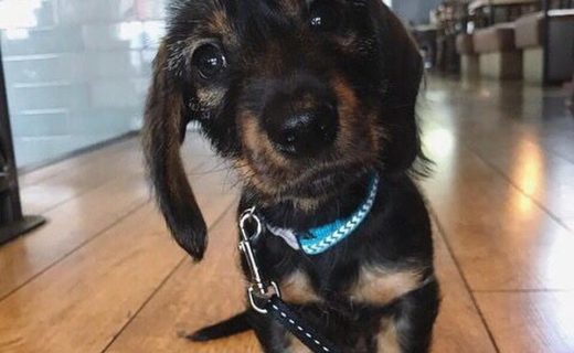 Here’s Wee Nevis at Lebowskis South in Glasgow – pic @wee_nevis