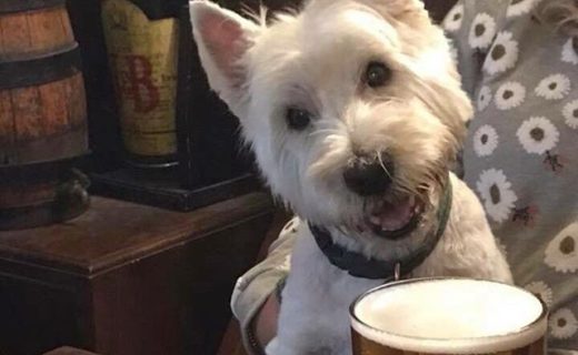 Here’s Wee Rory at The Brown Bull – pic Mark Munro #dugsNpubs