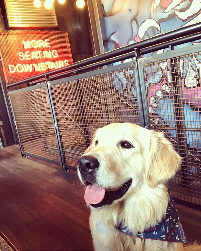 “samithegolden First visit to brewdogcastlegate and I may or may not
