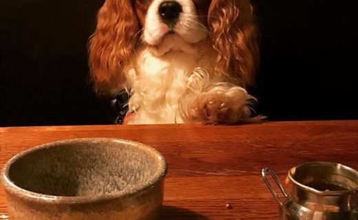 “@logan_the_cavalier:  Had THE best time in @porterandrye ⠀
The staff have been amazing at ensuring my mum and I felt welcome and I have been throughly spoilt here too!!! Looking forward to coming back soon!! Ps my mum says the burger with the truffle fries is Amazing!!! Can’t thank you all enough for a lovely night xx” #dugsNpubs
