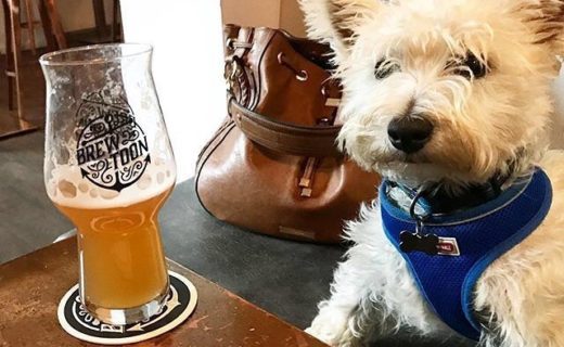 “@dougalandhamish:  Dougal enjoying a wee beer at the weekend 🐶🐾🍻 ” #dugsNpubs