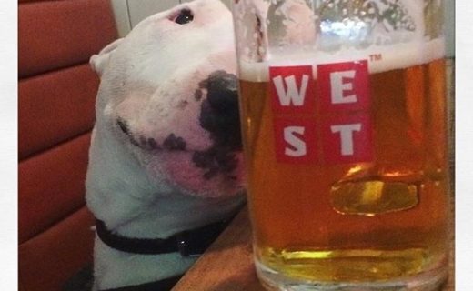 “@kasperandluna:  Yesterday we went to Maggie May’s for pints of West ” #dugsNpubs