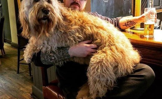 “@montysdunfermline:  Stu in with Ollie. Did you know we’re dog friendly?⠀
” #dugsNpubs