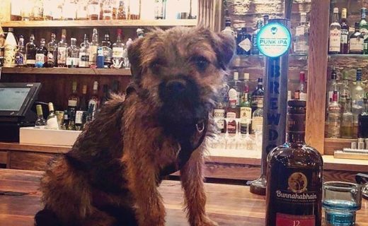 “@the_ox_edinburgh:  Little Bunna by her namesake, Bunnahabhain a nice smoky 12 year old malt from Islay. ” #dugsNpubs