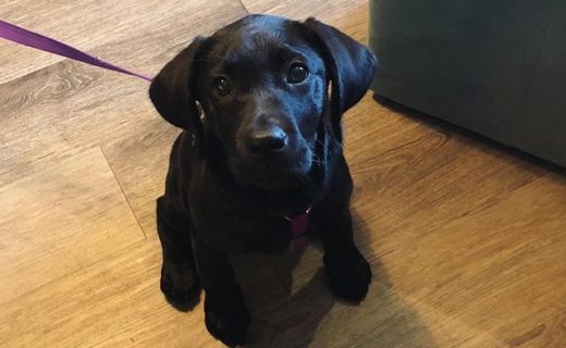 Wee Corrie at the @thetorfin