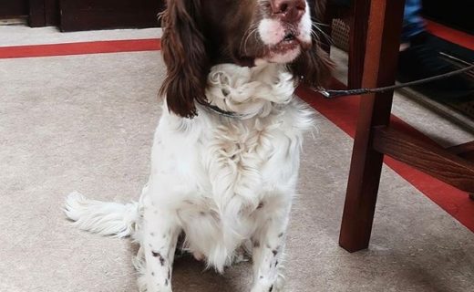 Wee Monty at the Dean Tavern Newtongrange – pic Laura Smith