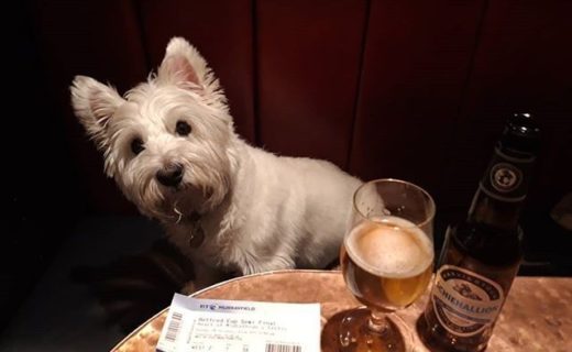 Here’s @the_edinburgh_westie in The Queens Arms, Edinburgh. ” #dugsNpubs