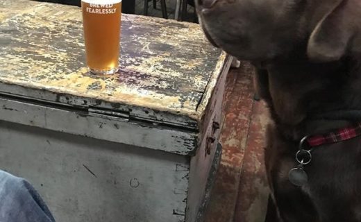 Just hanging out in @stlukesglasgow – pic from Andy #dugsNpubs Dugs.Pub