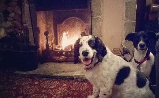 “@ailz1985:  Crisp winter walks, open fire and a few drinks 😍 ” #dugsNpubs