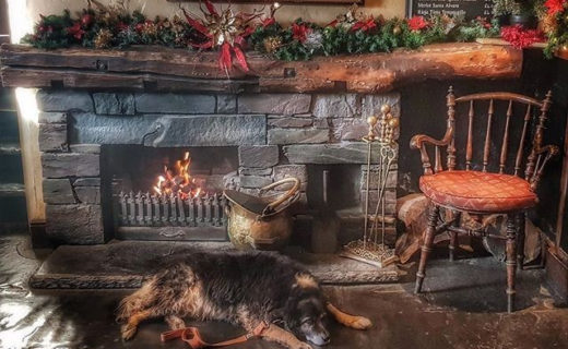 “@annettechristian25:  Because a fire’s not a fire without a sleeping dug in front of it 🔥 ” #dugsNpubs