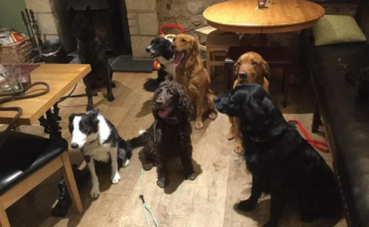 Here’s a Group of pals chilling at The Plough Inn Leitholm – pic David McLean