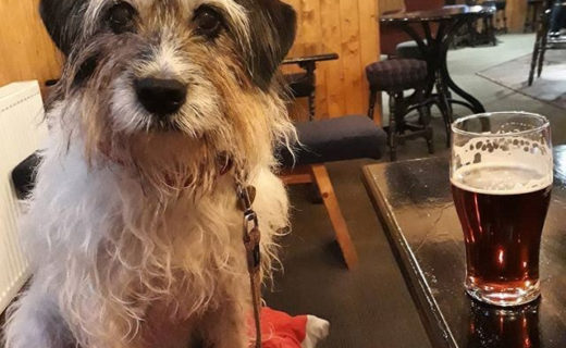 “@kathybrandish: Pint in The Winking Owl, Aviemore” #dugsNpubs