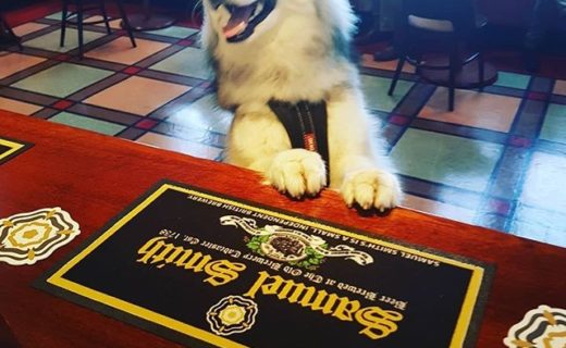 “@thedoocotpub: Always nice to have a smiling dog at the bar. Everytime Blue pops in he pops up to say hello” #dugsNpubs