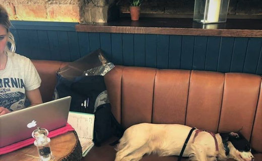 Reposting @jacquesfinnieston:⠀
…⠀
“January’s been the longest month… Brontes got the best idea with her afternoon nap 🐶💤”