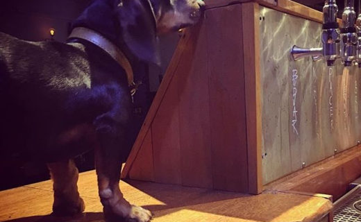 Reposting @roland_sausage:⠀
…⠀
“How do i keep @koelschipyard so clean, you ask? 👅 #spillmorebeerplease”