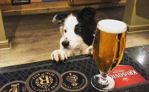There’s no Dry January here at Dugs HQ but thanks for the picture @hos_norton:⠀
…⠀
““Of course I am doing Dry January, it’s a DRY cider isn’t it?” ⠀
⠀
dugswelcome