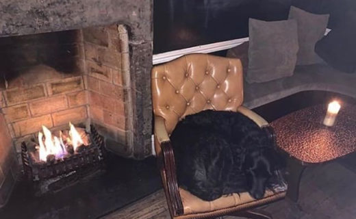 If you’re out wandering Stockbridge with your dug this afternoon…⠀
⠀
Reposting @mothershipathq:⠀
…⠀
“The Saloon opens from 2PM on Sundays, Stockbridge Market strollers, Botanics wanderers. This photo conveys the feeling more than words can, thanks for snapping this shot, @isaacmarion” (pic taken at The Last Word)