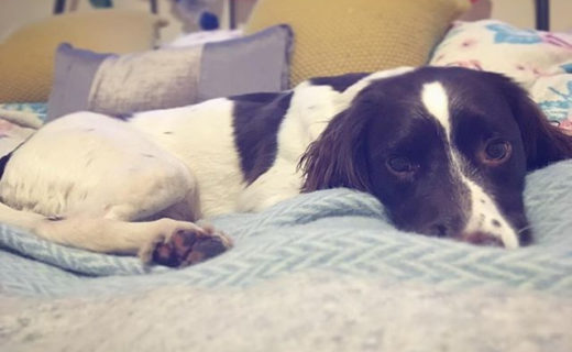 I’m right with you Bjorn…!⠀
⠀
Reposting @bjorn_the_springer:⠀
…⠀
“Its been a long week, and Today is a «I want the weekend to be here» day”