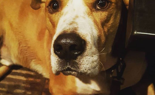 Reposting @__saresh__:⠀
…⠀
“I’m having an adventure with my Aunty Seshy…. I love Charlie the barman and being the best boi ever.”