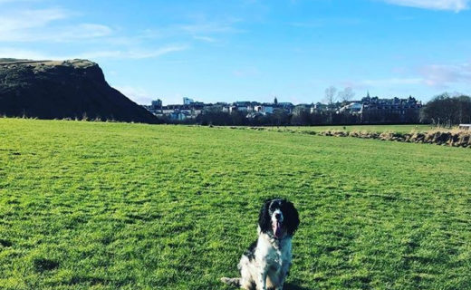 Reposting @thesafarilounge:⠀
…⠀
“If, like Zippy, you hope to spend this beautiful Sunday exploring Holyrood Park or Arthur’s Seat, don’t forget we are just a two minute walk away, waiting to fulfill all your Sunday lunch, coffee or boozy needs!”