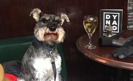 Here’s Jimmy enjoying a wee refreshment in Dynamo Dundee – pic Julie Murray