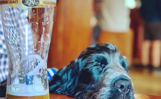 Aye, one too many at The Cumberland, Embra – pic @gingemccabe
