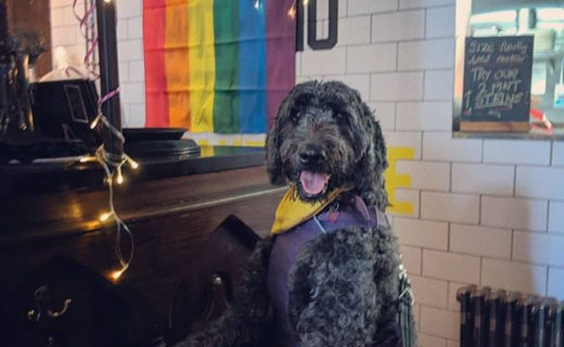 Here’s @poppylabdoodle at The Barket in @francosgla Glasgow