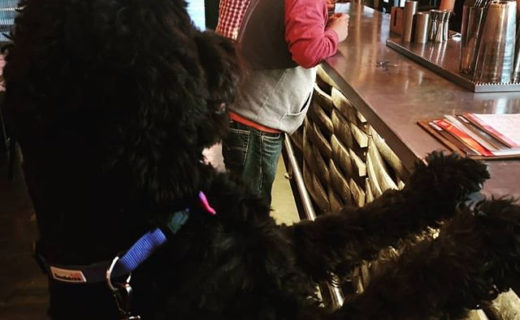 Love it! Thanks for the pic… @igbrewerytaproomed:⠀…⠀”Sam’s in for a beer tonight. Just a wee half though, he doesn’t wanna be RUFF in the morning!⠀.⠀#dogfriendly #dugsnpubs @dugsnpubs”