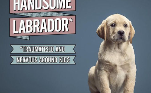 We’re working with the Scottish Government to raise awareness on Puppy Farming. These mock adverts are hard hitting but it’s vital that as a dog loving community we put a stop to puppy farming #dugsnpubs #buyapuppysafely #lookbeyondcute