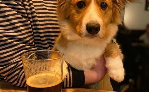 Here’s wee @maisieofleith in @portobellotap