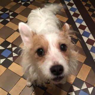 Jessie from Edinburgh