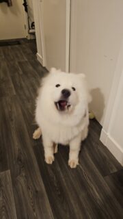 Thor from Glasgow
