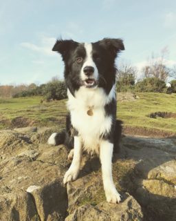 Charlie from Edinburgh