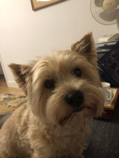 Ruaidhrí from Potters Bar
