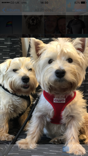 Meddy & Maz from Edinburgh