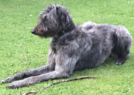 Bess from Edinburgh