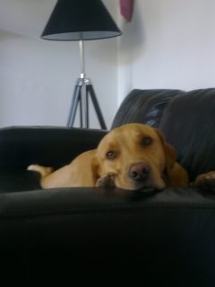 Charlie from Glasgow